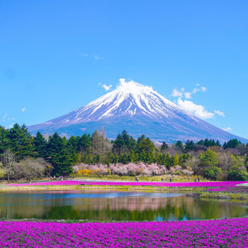 富士山
